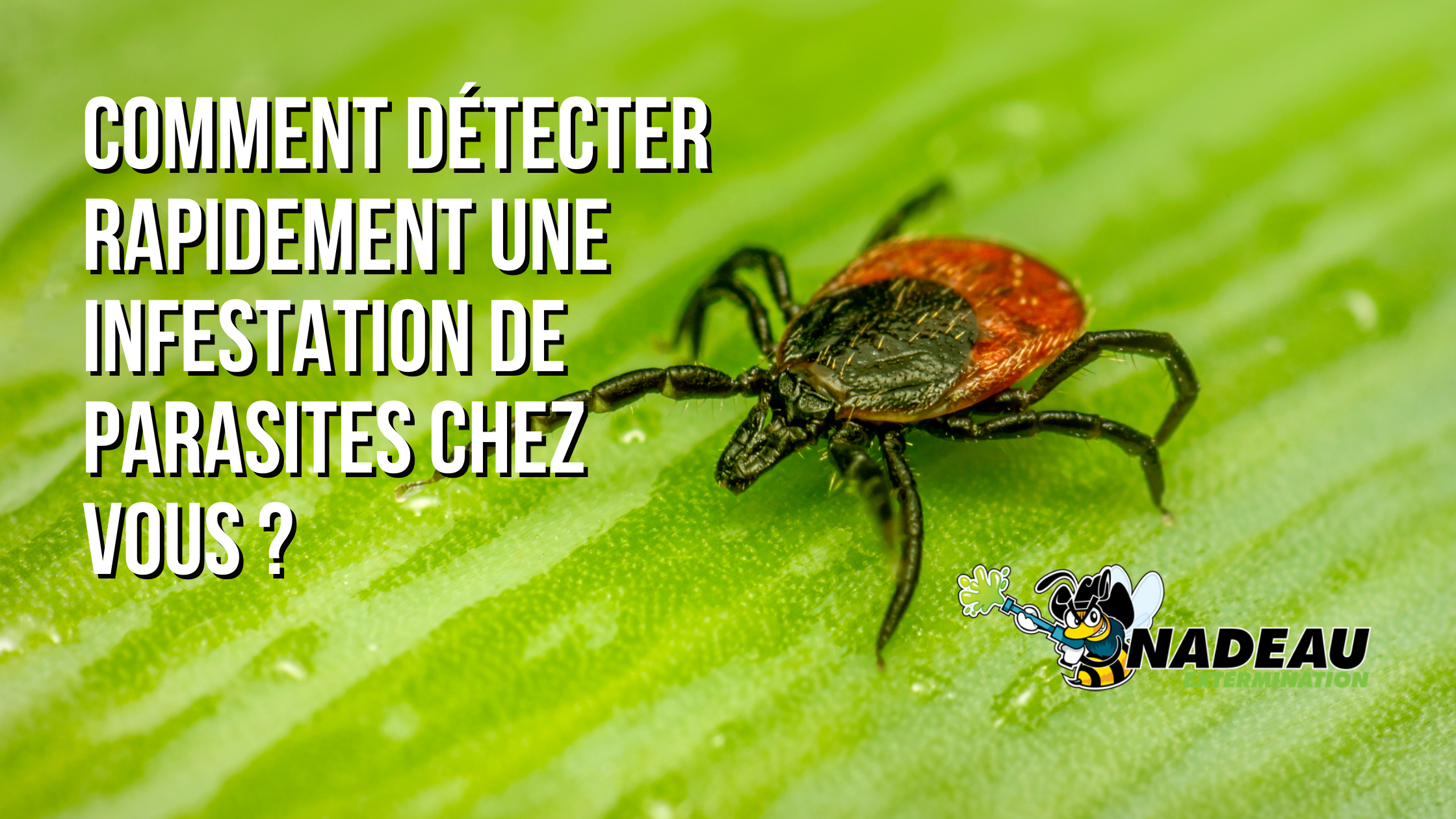 Work From Home Freelance Blog Banner (1)